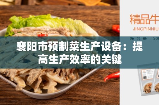 襄阳市预制菜生产设备：提高生产效率的关键