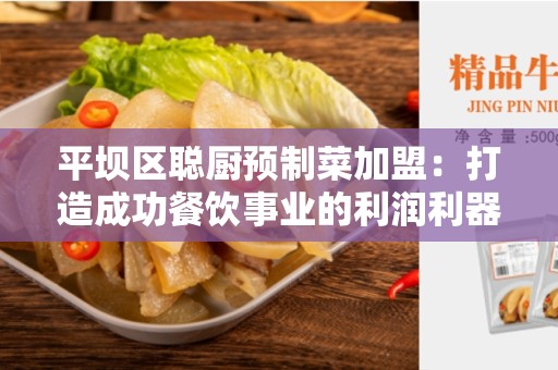 平坝区聪厨预制菜加盟：打造成功餐饮事业的利润利器