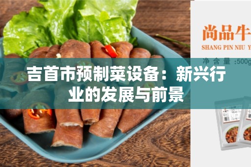 吉首市预制菜设备：新兴行业的发展与前景