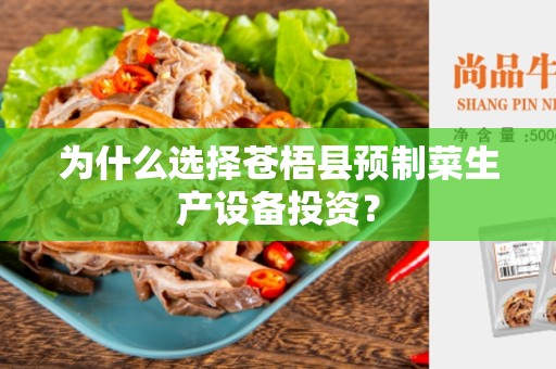 为什么选择苍梧县预制菜生产设备投资？