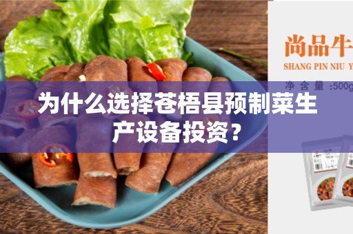 为什么选择苍梧县预制菜生产设备投资？