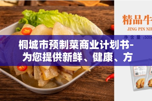 桐城市预制菜商业计划书- 为您提供新鲜、健康、方便的饮食选择