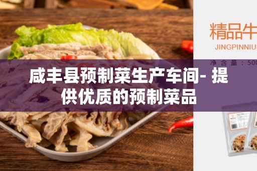 咸丰县预制菜生产车间- 提供优质的预制菜品