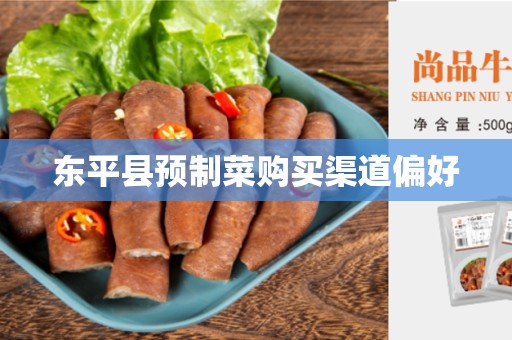 东平县预制菜购买渠道偏好
