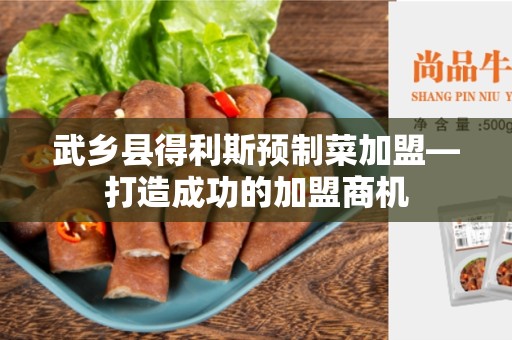 武乡县得利斯预制菜加盟—打造成功的加盟商机
