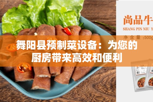 舞阳县预制菜设备：为您的厨房带来高效和便利