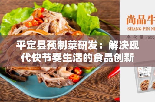 平定县预制菜研发：解决现代快节奏生活的食品创新