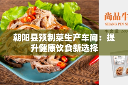 朝阳县预制菜生产车间：提升健康饮食新选择