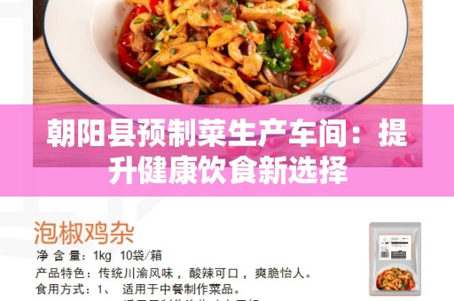 朝阳县预制菜生产车间：提升健康饮食新选择