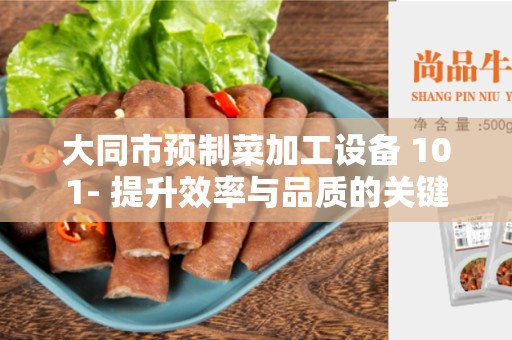 大同市预制菜加工设备 101- 提升效率与品质的关键