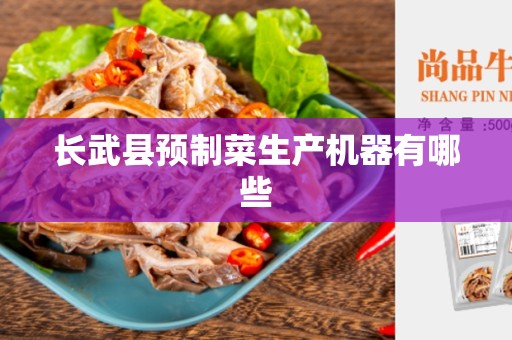 长武县预制菜生产机器有哪些