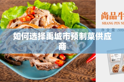 如何选择禹城市预制菜供应商