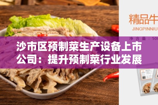 沙市区预制菜生产设备上市公司：提升预制菜行业发展的利器