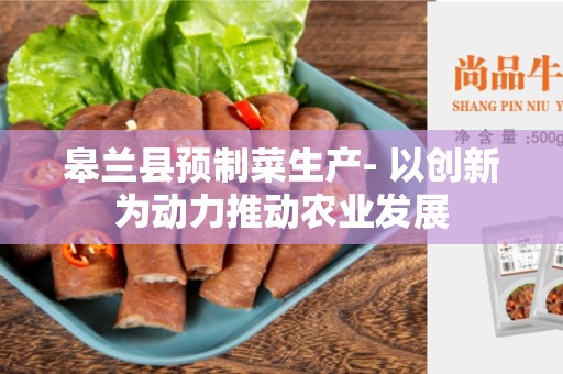 皋兰县预制菜生产- 以创新为动力推动农业发展