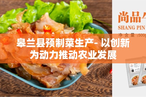 皋兰县预制菜生产- 以创新为动力推动农业发展
