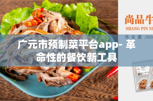 广元市预制菜平台app- 革命性的餐饮新工具