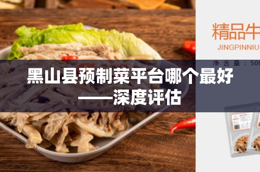黑山县预制菜平台哪个最好——深度评估