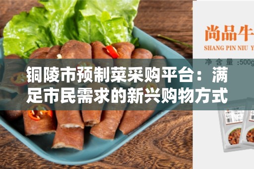 铜陵市预制菜采购平台：满足市民需求的新兴购物方式