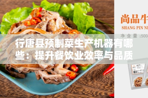 行唐县预制菜生产机器有哪些：提升餐饮业效率与品质的利器