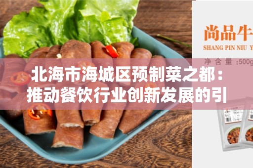 北海市海城区预制菜之都：推动餐饮行业创新发展的引领者