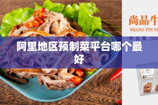 阿里地区预制菜平台哪个最好