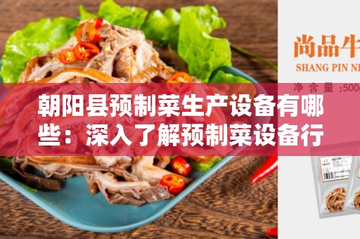 朝阳县预制菜生产设备有哪些：深入了解预制菜设备行业