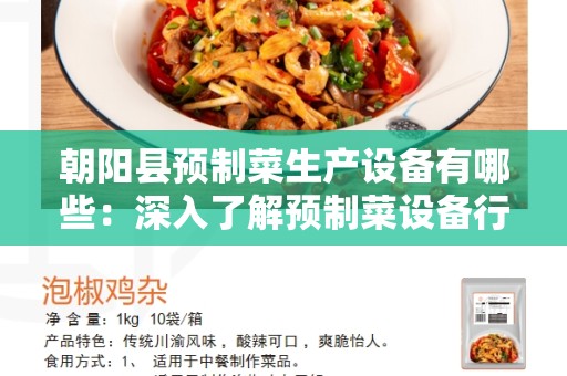 朝阳县预制菜生产设备有哪些：深入了解预制菜设备行业