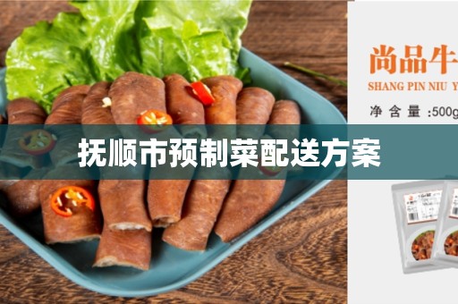 抚顺市预制菜配送方案