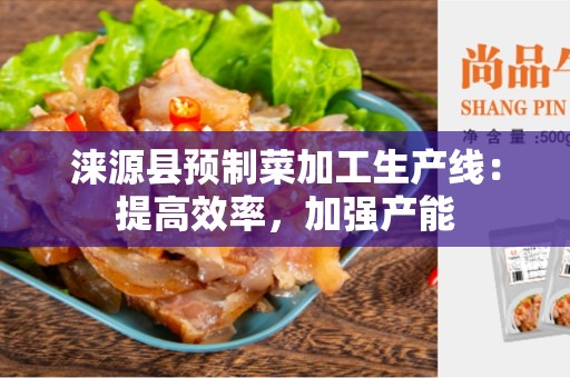 涞源县预制菜加工生产线：提高效率，加强产能