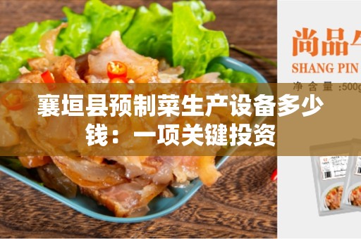 襄垣县预制菜生产设备多少钱：一项关键投资