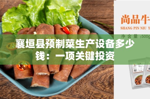 襄垣县预制菜生产设备多少钱：一项关键投资