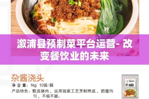 溆浦县预制菜平台运营- 改变餐饮业的未来