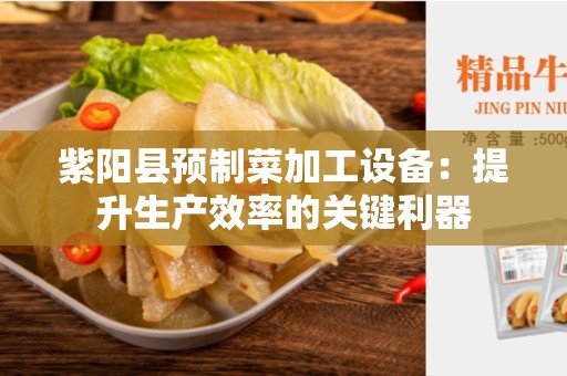 紫阳县预制菜加工设备：提升生产效率的关键利器