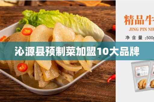 沁源县预制菜加盟10大品牌