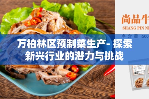 万柏林区预制菜生产- 探索新兴行业的潜力与挑战