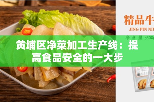 黄埔区净菜加工生产线：提高食品安全的一大步