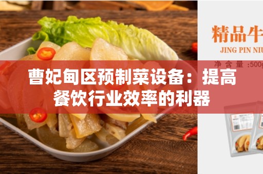 曹妃甸区预制菜设备：提高餐饮行业效率的利器