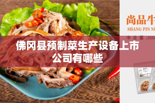 佛冈县预制菜生产设备上市公司有哪些