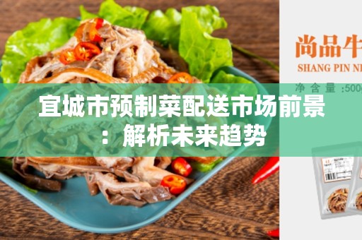 宜城市预制菜配送市场前景：解析未来趋势