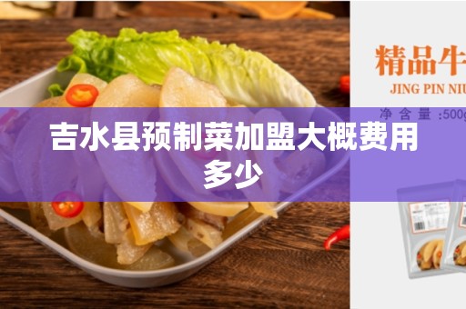 吉水县预制菜加盟大概费用多少