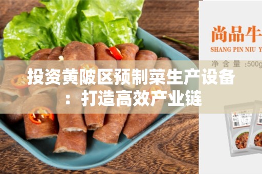 投资黄陂区预制菜生产设备：打造高效产业链