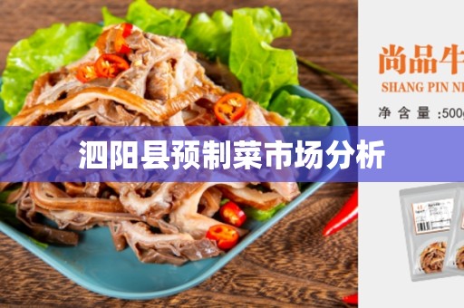 泗阳县预制菜市场分析