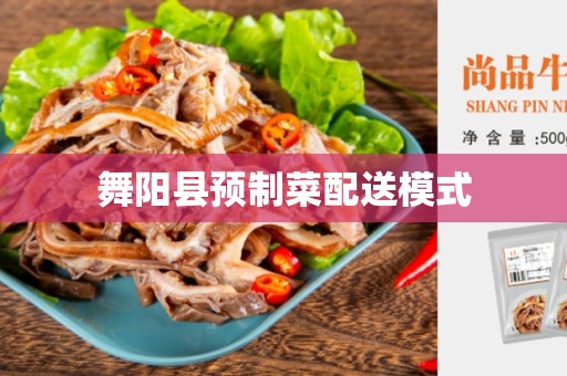 舞阳县预制菜配送模式