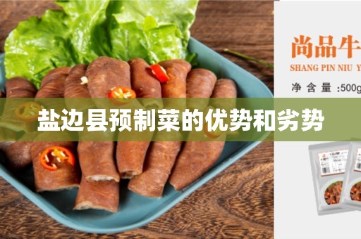 盐边县预制菜的优势和劣势