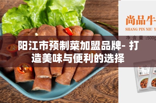 阳江市预制菜加盟品牌- 打造美味与便利的选择