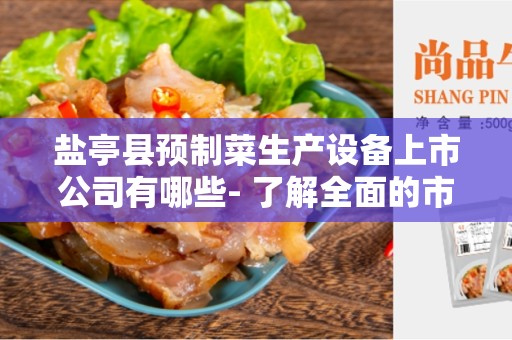 盐亭县预制菜生产设备上市公司有哪些- 了解全面的市场领导者