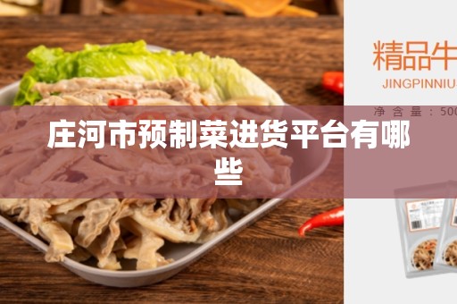 庄河市预制菜进货平台有哪些
