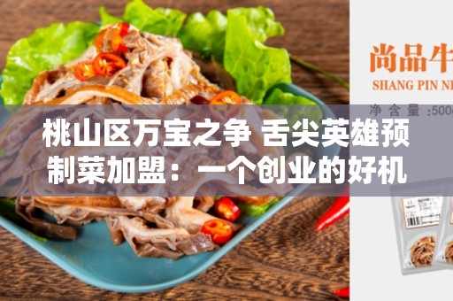 桃山区万宝之争 舌尖英雄预制菜加盟：一个创业的好机会