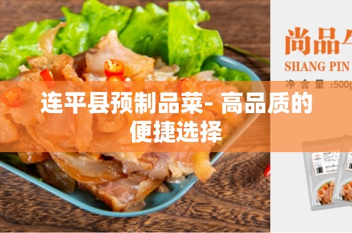 连平县预制品菜- 高品质的便捷选择