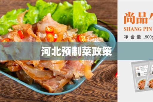 河北预制菜政策